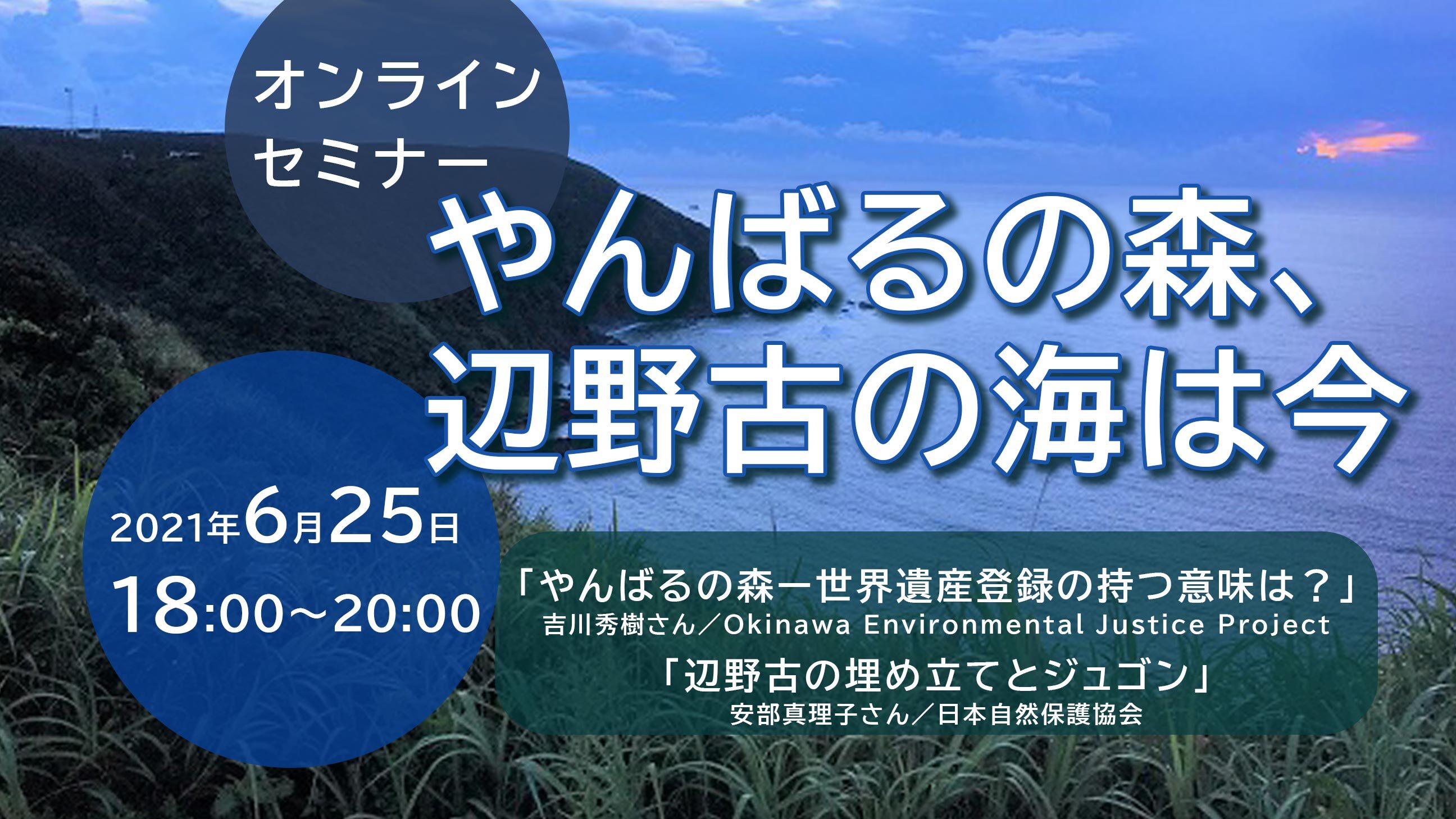 オンラインセミナー やんばるの森 辺野古の海は今 6 25 Foe Japan