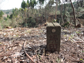 Thumbnail of post image 141