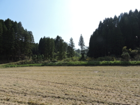 Thumbnail of post image 114