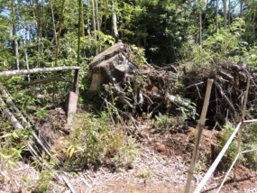 Thumbnail of post image 006