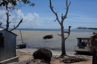 Thumbnail of post image 066