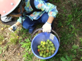Thumbnail of post image 006