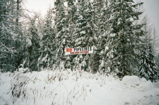 Thumbnail of post image 112
