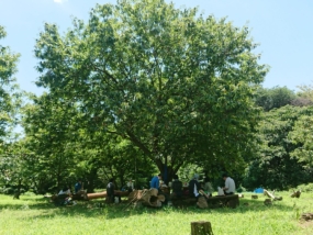 Thumbnail of post image 073