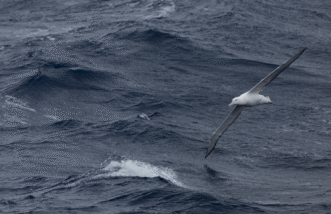 Thumbnail of post image 024