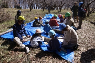 Thumbnail of post image 101