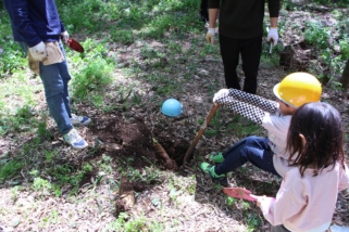 Thumbnail of post image 149