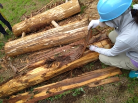 Thumbnail of post image 069