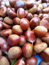 Thumbnail of post image 083