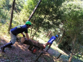 Thumbnail of post image 117