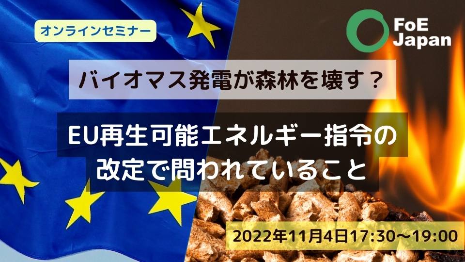 バイオマス発電が森林を壊す？－EU再生可能エネルギー指令の改定