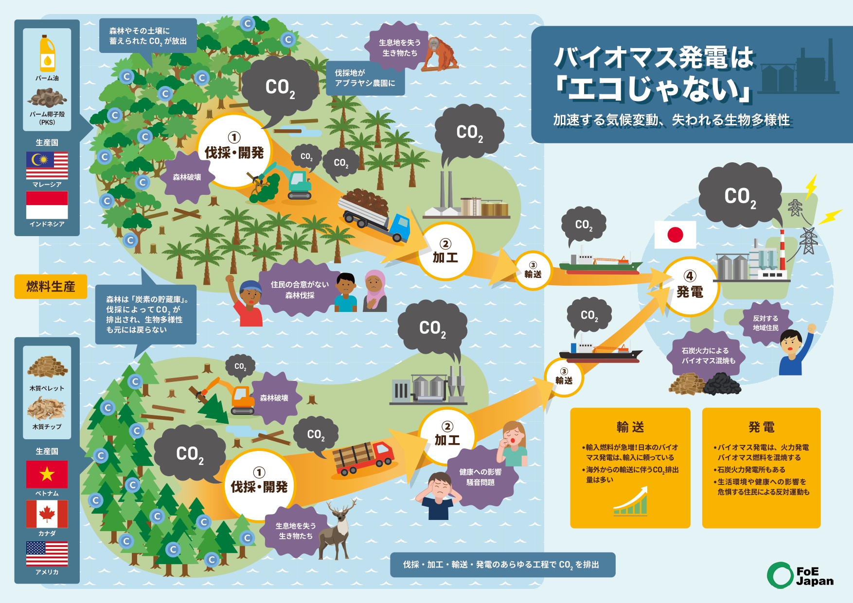 国際環境NGO FoE Japan